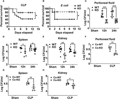 NLRP6 negatively regulates host defense against polymicrobial sepsis